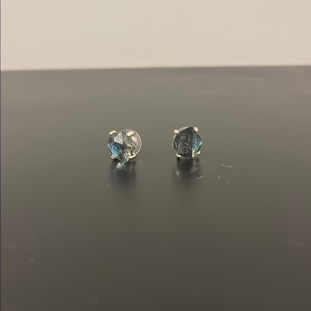 Kendra Scott Blue and Silver Stud Earrings